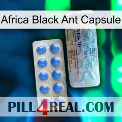 Africa Black Ant Capsule 39